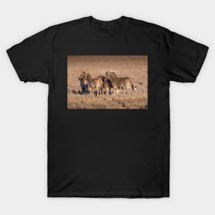 Zebras in Botswana T-Shirt